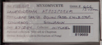 Image Associated With the Occurence